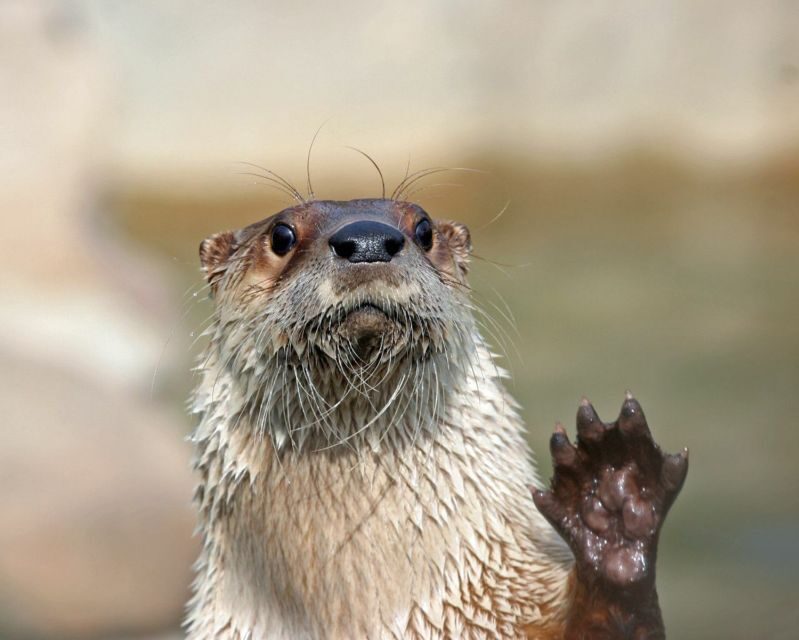 Stoneham, Massachusetts: Stone Zoo Entry Ticket - FAQ