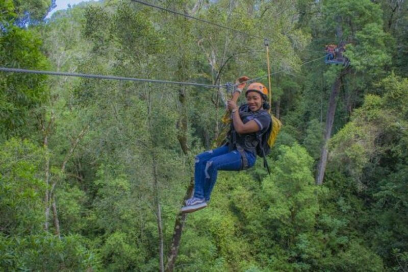 Storms River: Tsitsikamma National Park Zipline Canopy Tour - Who Would Love This Tour?