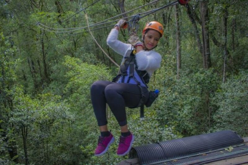 Storms River: Tsitsikamma National Park Zipline Canopy Tour - The Sum Up