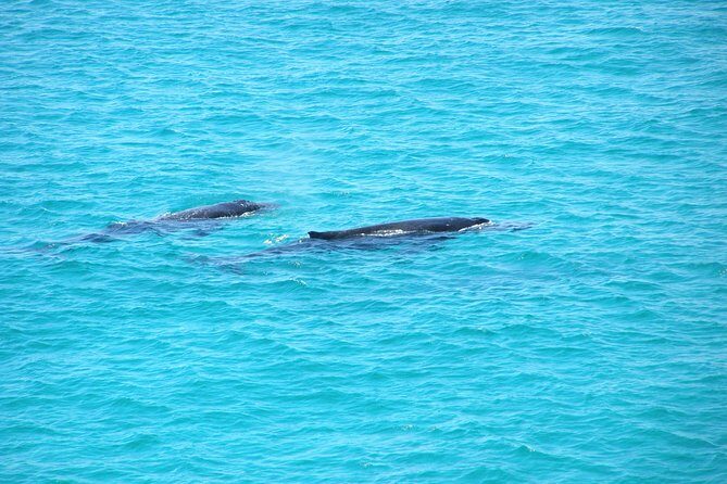 Stradbroke Island 4WD Day Trip from Brisbane - Key Points