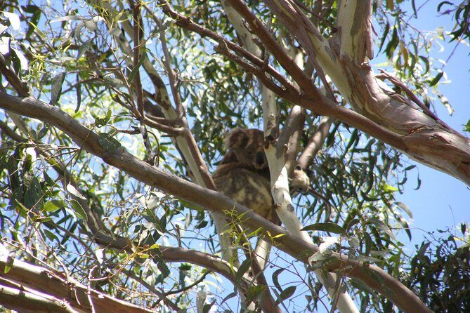 Stradbroke Island 4WD Day Trip from Brisbane - The Itinerary in Detail