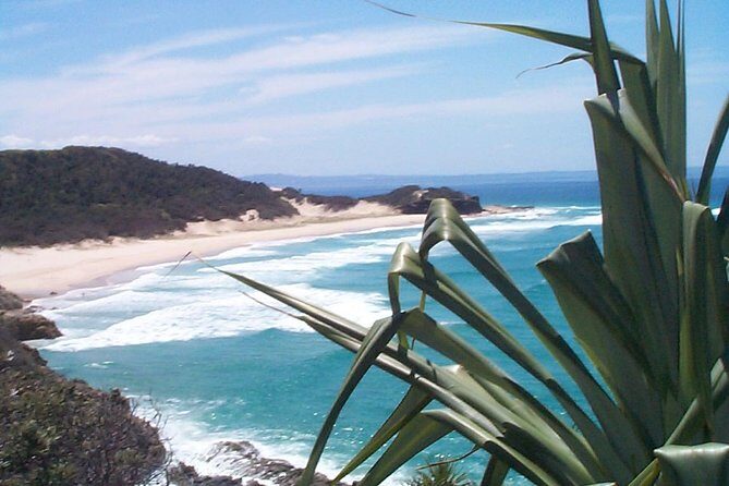 Stradbroke Island 4WD Day Trip from Brisbane - Who Will Love This Tour?