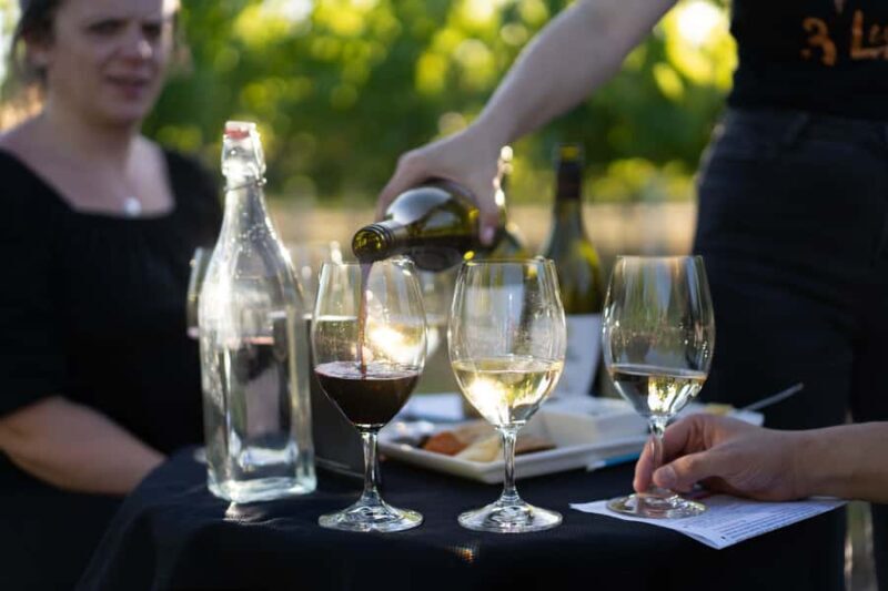Strange Bird Flight of 3 Wine & Cheese - Key Points