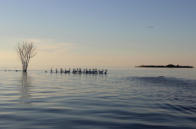 Strawberry Islands Scenic Boat Tour and Historic Cottage Row - Who Should Consider This Tour?