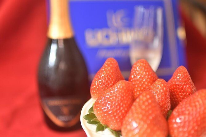 Strawberry Picking and Snow experience at Mt Fuji ski resort for VIP - Key Points