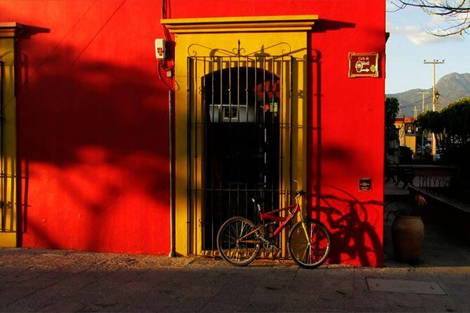 Street Art and Historic City Biking Tour - An In-Depth Look at the Experience