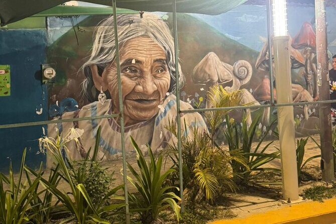 Street Art and Shopping Tour in Playa del Carmen - Who Should Consider This Tour?