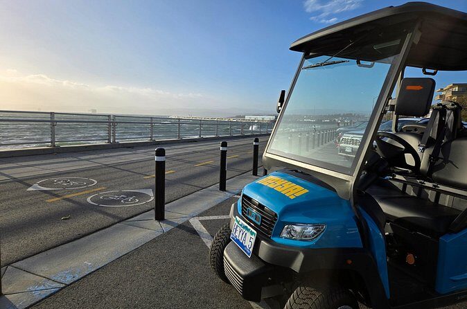Street Legal Golf Cart Rentals in Victoria - Who Should Consider This?