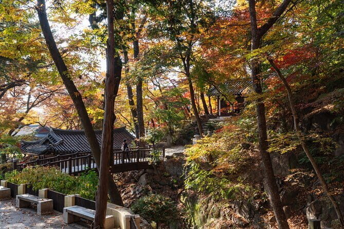 Street photoshoot and Seoul Hidden gem History Walking Tour - Final Words