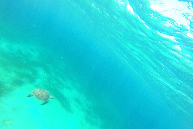 Stroll and Initiation to Sailing in the Baie des Saintes - The Sum Up: Who Should Consider This Tour?