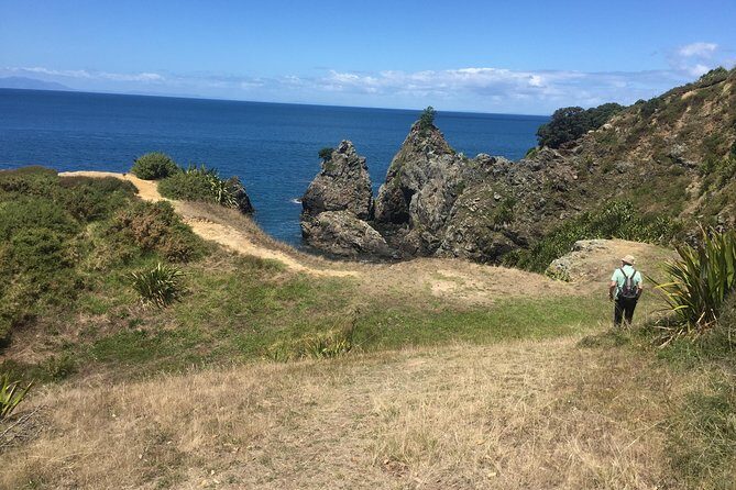 Stunning Auckland East Coast Walk & Wine Private Tour - A Deep Dive into the Stunning Auckland East Coast Walk & Wine Private Tour