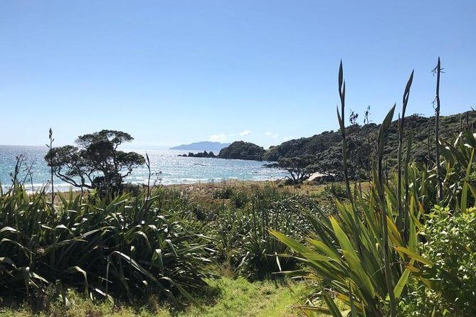 Stunning Auckland East Coast Walk & Wine Private Tour - The Sum Up