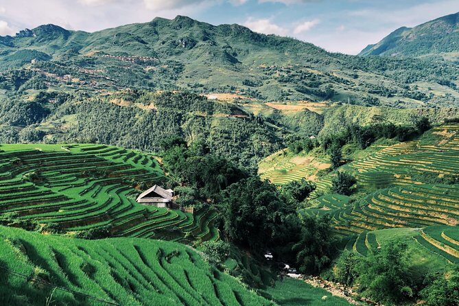 Stunning Terraced Rice Fields on 2-Day Trekking - A Closer Look at the 2-Day Sapa Trekking Experience