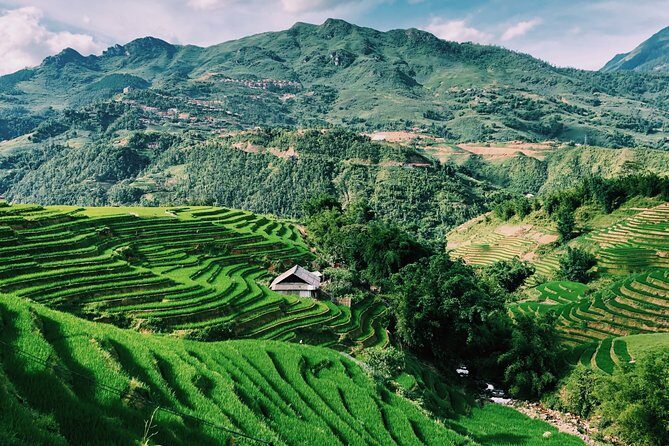 Stunning Terraced Rice Fields on 2-Day Trekking - Who Would Love This Tour?