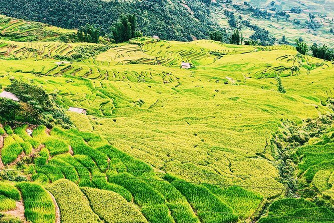 Stunning Terraced Rice Fields on 2-Day Trekking - Summary