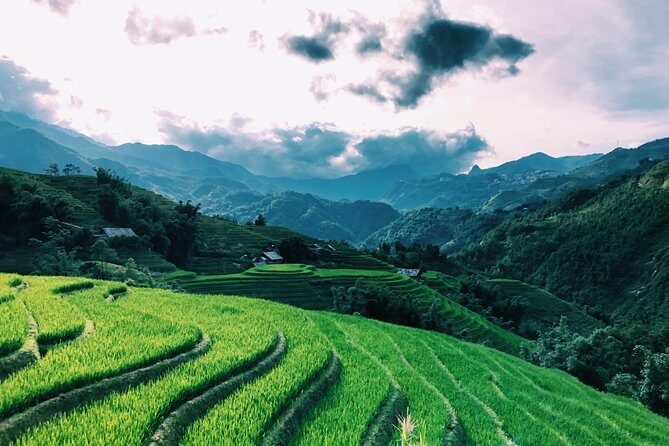 Stunning Terraced Rice Fields on 2-Day Trekking - FAQs