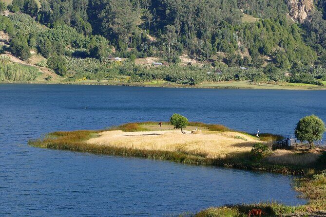Stunning Views Wonchi Crater Lake a Private Day Trip - Practical Details and What to Expect