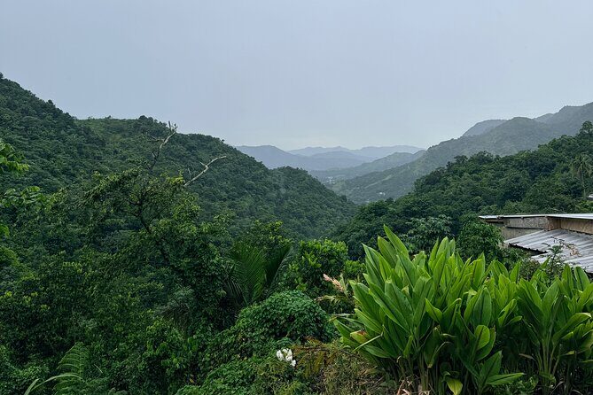 Sueños de Cafe - A Coffee Lovers Dream - What Makes This Tour Stand Out?