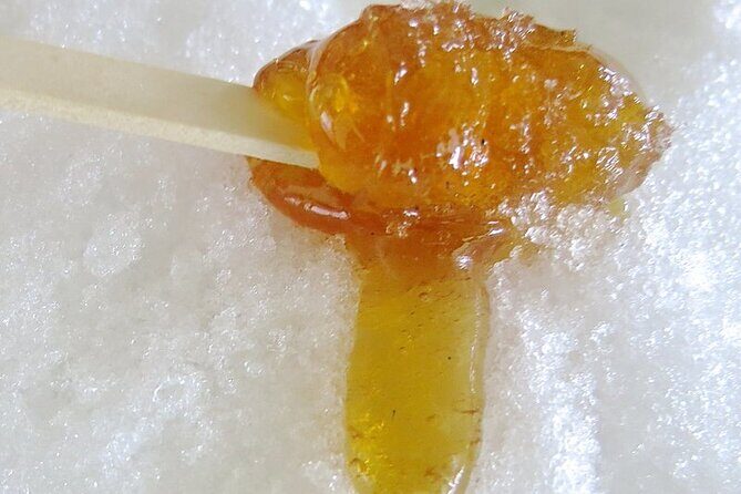 Sugar Shack Full Day Tour from Montreal - Practicalities and Considerations