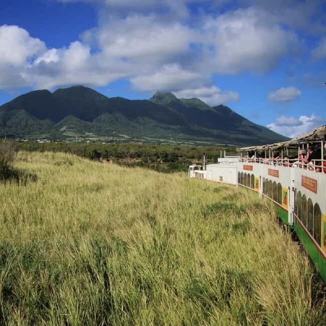 Sugar Train Tour & Drinks|Pick-Up &Drop Off From Cruise Port - Key Points