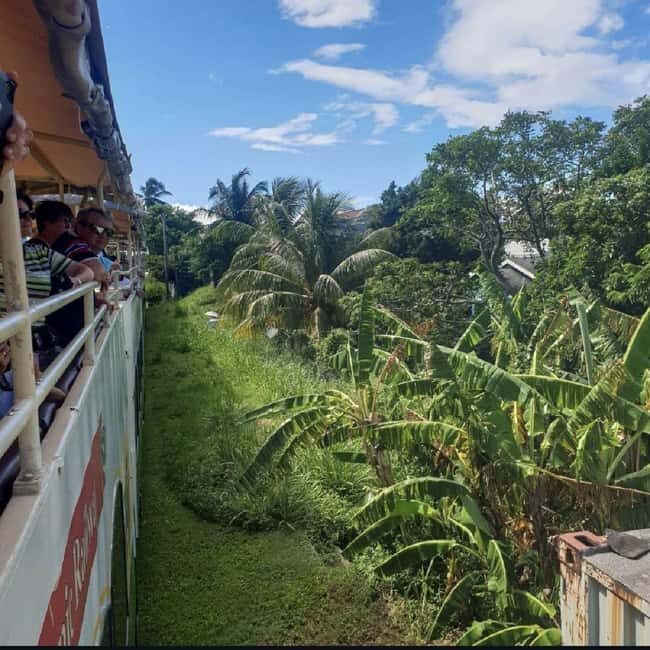 Sugar Train Tour & Drinks|Pick-Up &Drop Off From Cruise Port - What Makes This Tour Special