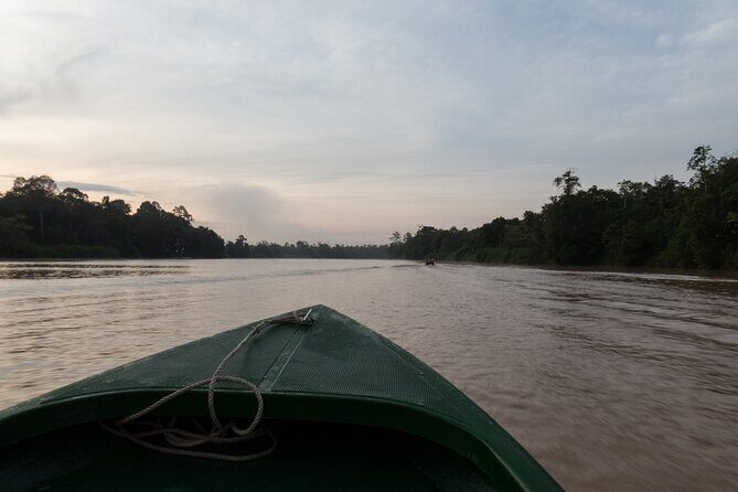 Sukau Rainforest Wildlife and Dawn Cruises Tour in Sandakan - Who Would Love This Tour?