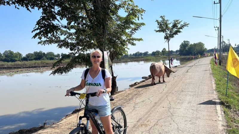 Sukhothai: Half-Day Countryside Bike Tour - What Makes This Tour Stand Out