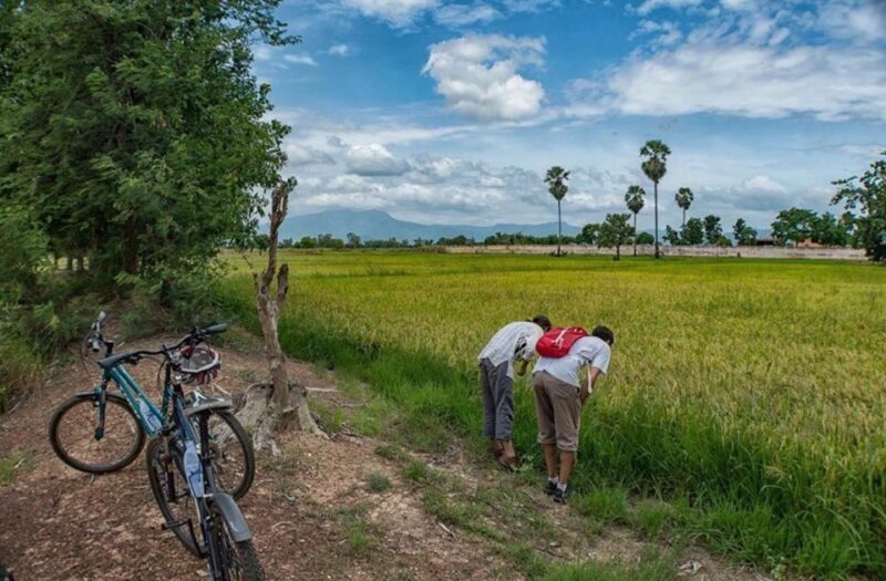 Sukhothai: Half-Day Countryside Bike Tour - Practical Details and What to Expect