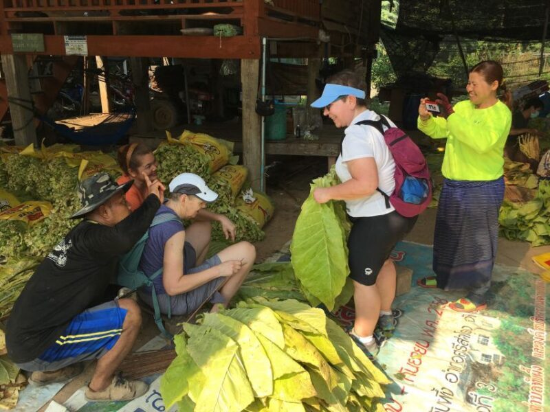 Sukhothai: Half-Day Countryside Bike Tour - Who Will Love This Tour?