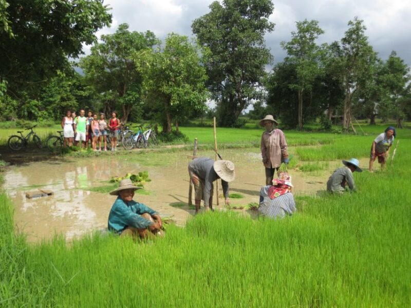 Sukhothai: Half-Day Countryside Bike Tour - FAQ