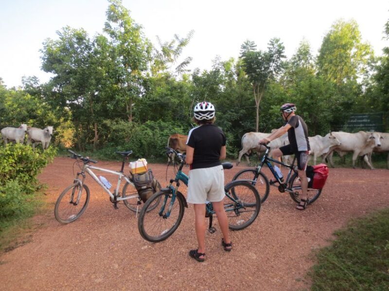 Sukhothai: Historical Park & Countryside Cycling Tour - Introduction
