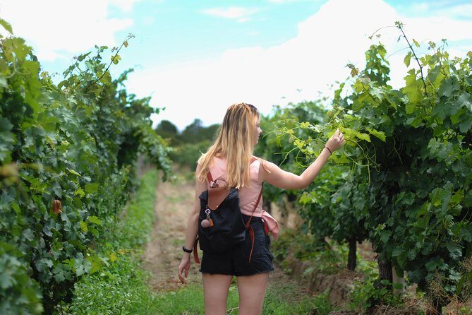 Sula Vineyards Day tour from Mumbai - Key Points