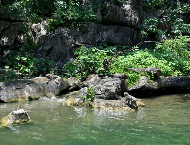 Sumidero Canyon & Chiapa de Corzo from Tuxtla - FAQ