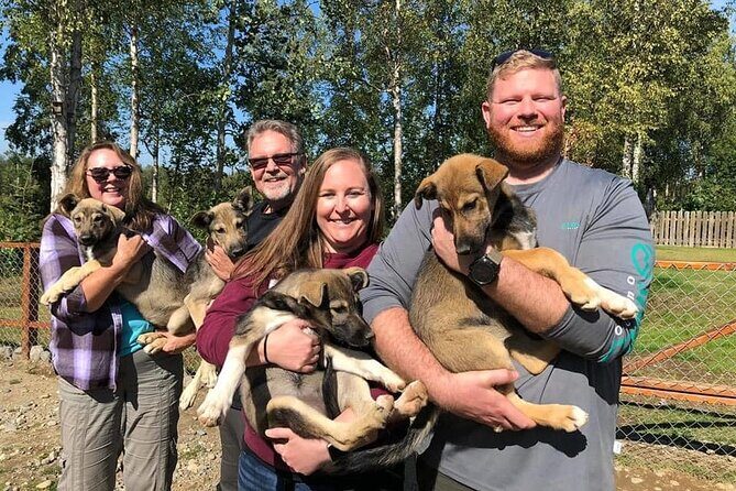Summer Dog Sledding Adventure in Willow, Alaska - Authentic, Family-Run Hospitality