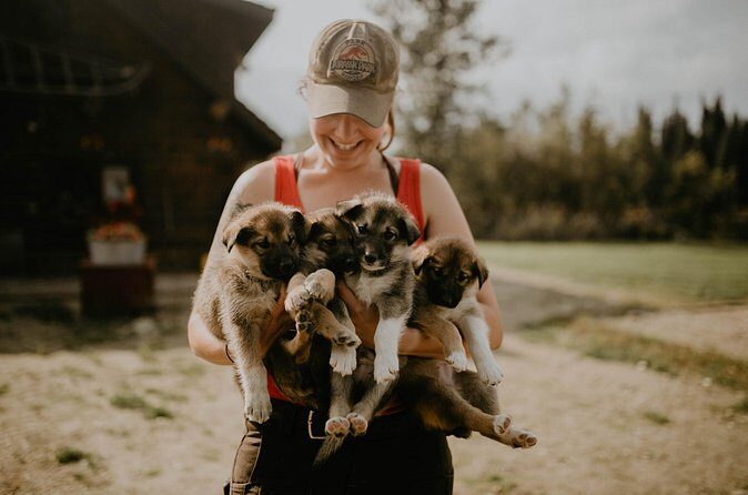 Summer Kennel Visit at Historic Trail Breaker Kennel - FAQ