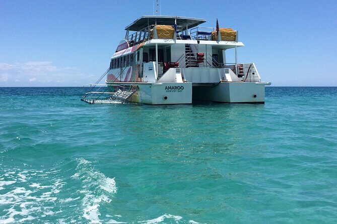 SUMMER K'gari (Fraser Island) Boom-net & Sightseeing Cruise - Key Highlights of the Cruise