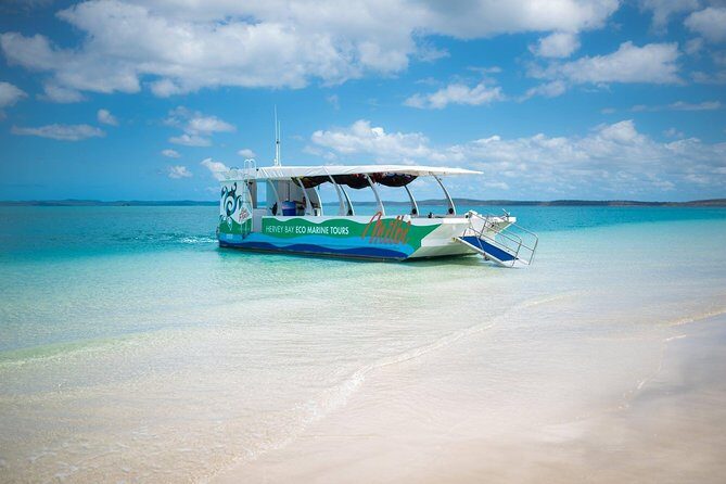 SUMMER K'gari (Fraser Island) Boom-net & Sightseeing Cruise - The Experience in Practice