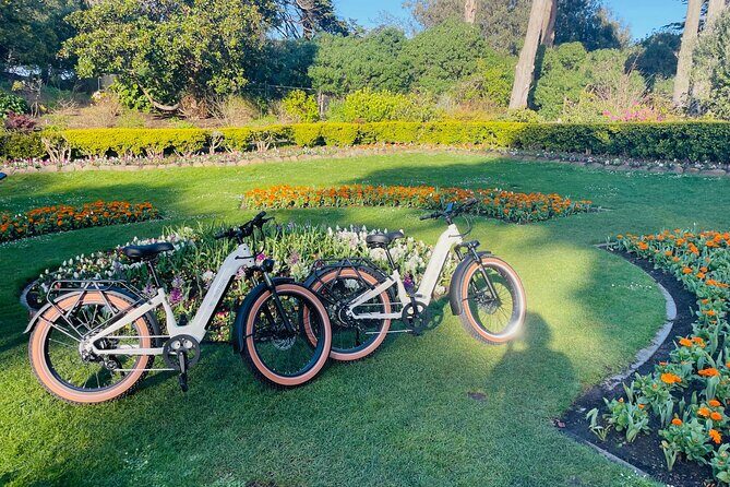 Summer of Love San Francisco Guided eBike Tour Golden Gate Park - An In-Depth Look at the Tour Experience