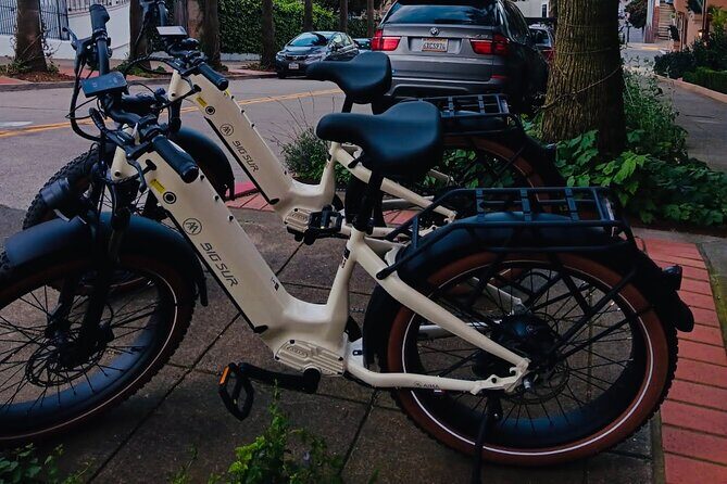 Summer of Love San Francisco Guided eBike Tour Golden Gate Park - The Sum Up: Who Will Love This Tour?