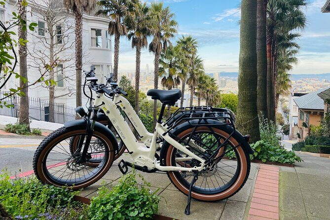Summer of Love San Francisco Guided eBike Tour Golden Gate Park - FAQ