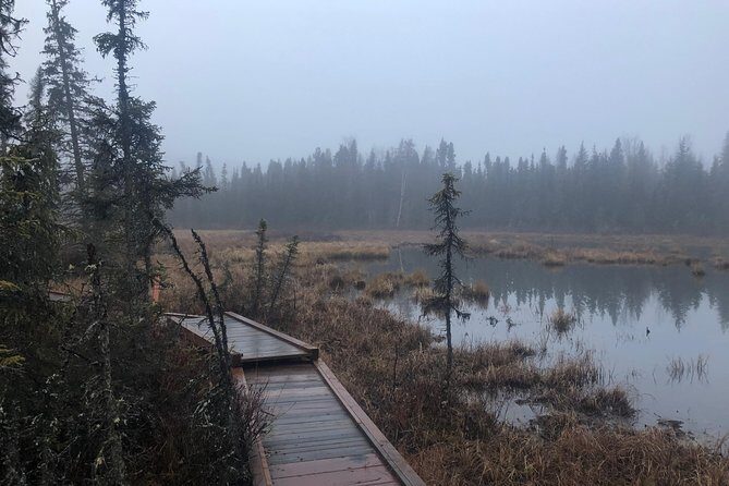 Summer Valley and Forest Hike - Who Will Love This Tour?