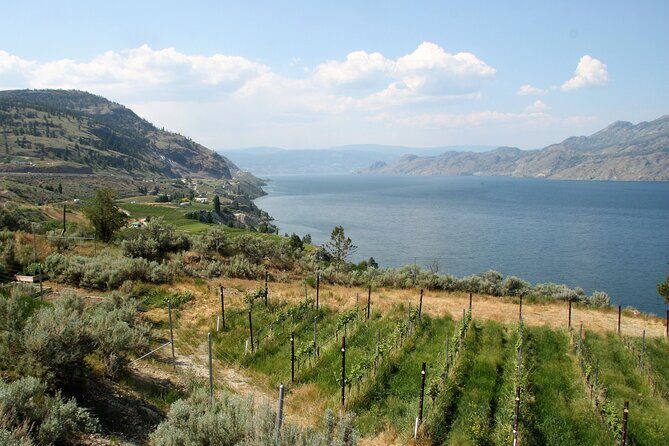 Summerland Private Wine Tour - Full Day - The Itinerary: A Closer Look