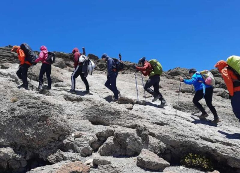 Summit Adventure: Mount Kilimanjaro Daytrip - Is This Tour Right for You?