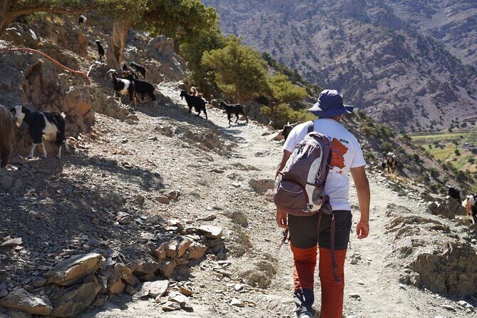 Summiting and Hiking the Atlas Mountains Day Trek from Marrakech - The Sum Up