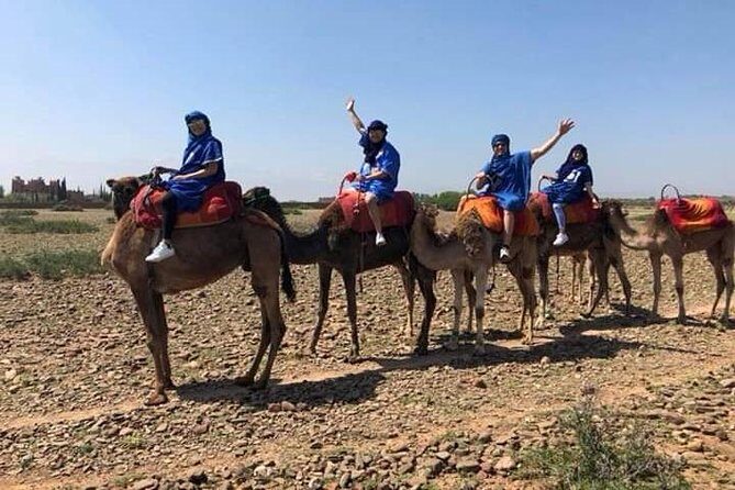 Summiting The Atlas Mountains Day Hike & Trek From Marrakech - Practical Considerations