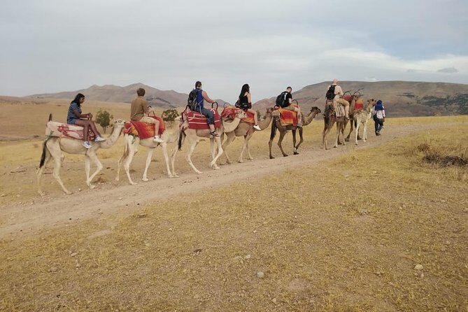 Summiting The Atlas Mountains Day Hike & Trek From Marrakech - Final Thoughts