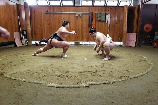 Sumo Practice Viewing Guided Tour and Photo with Sumo Wrestlers - An In-Depth Look at the Sumo Practice Tour