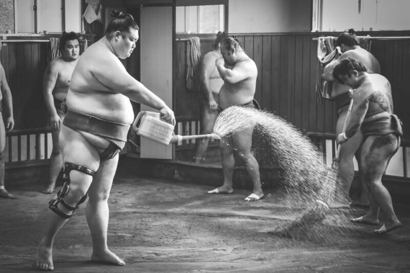Sumo Practice Watch with Specialist in Tokyo - Final Thoughts