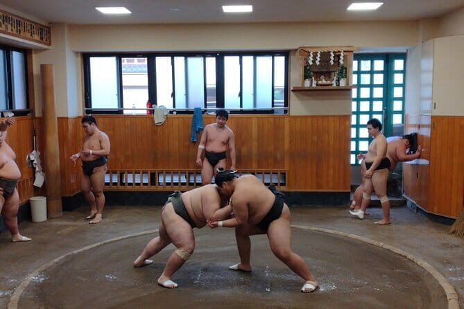 Sumo Practice Watching and Japans Beautiful Culture and History - A Unique Blend of Sumo and Traditional Japan: A Review of the Sumptuous 3-Hour Tour