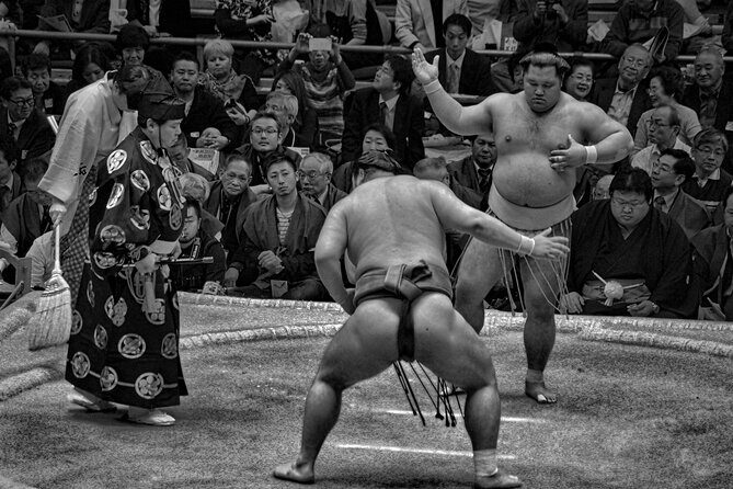 Sumo Tournament: Guided Experience with Ticket and Assigned Seat - Final Thoughts